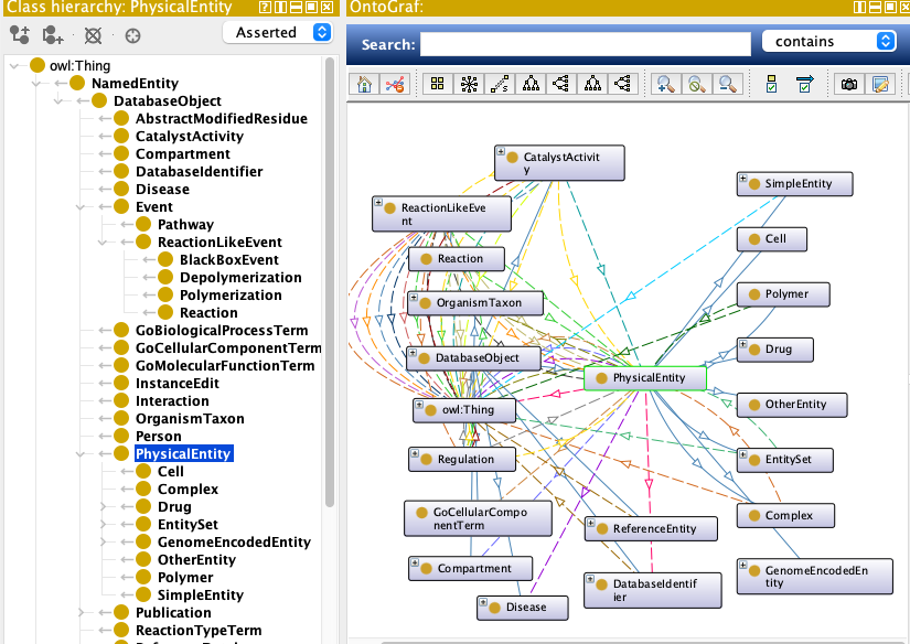Protégé class hierarchy and OntoGraf view